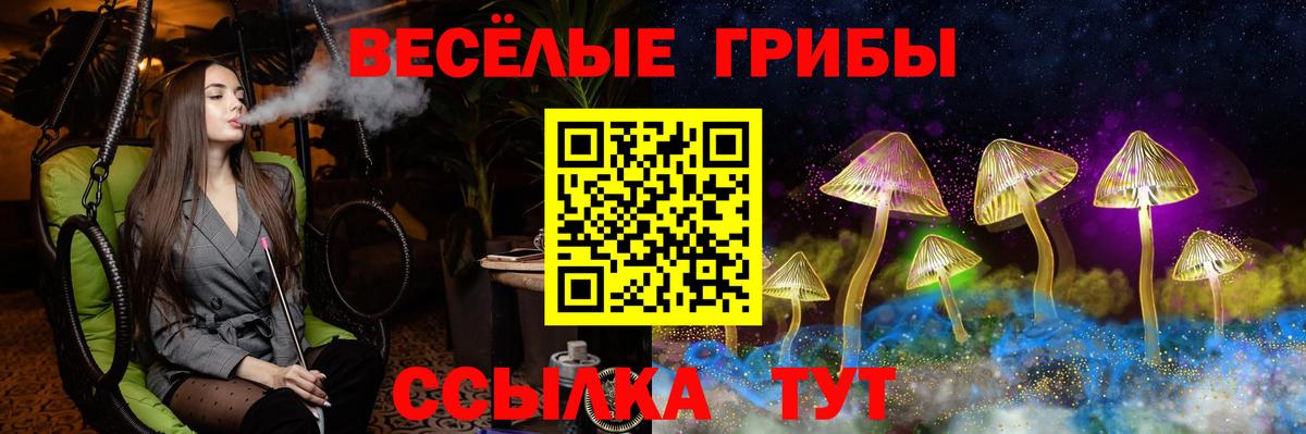 Галлюциногенные грибы прущие грибы Бугуруслан